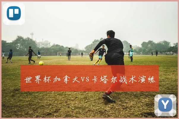 世界杯加拿大vs卡塔尔战术演练