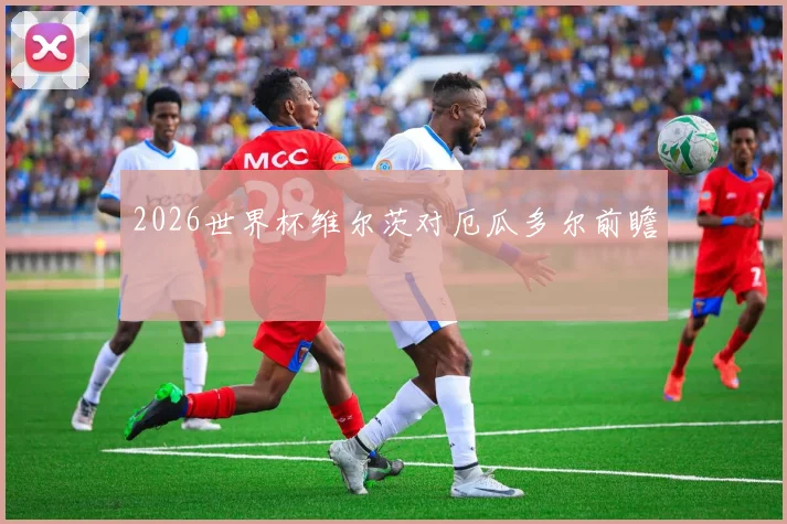 2026世界杯维尔茨对厄瓜多尔前瞻
