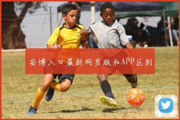 安博入口最新网页版和APP区别