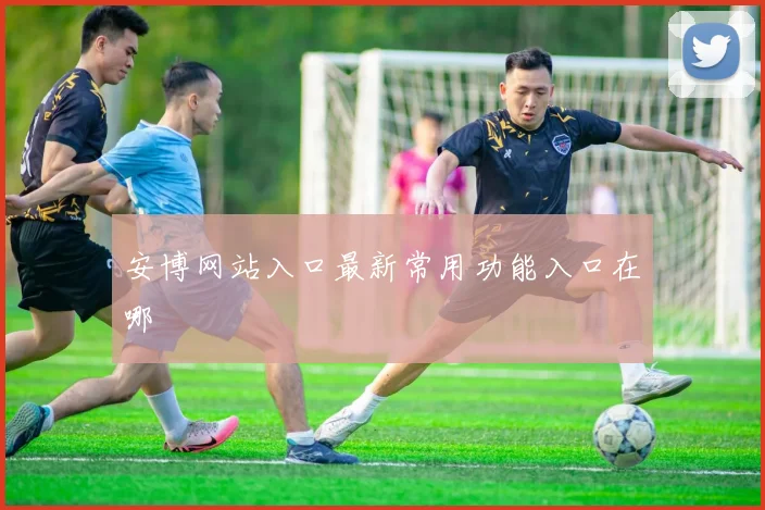 安博网站入口最新常用功能入口在哪